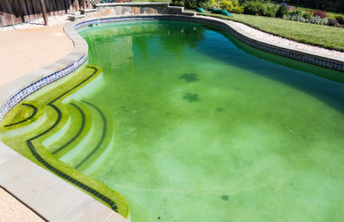 Mid-Summer Pool Maintenance Checklist | Pools Plus RI