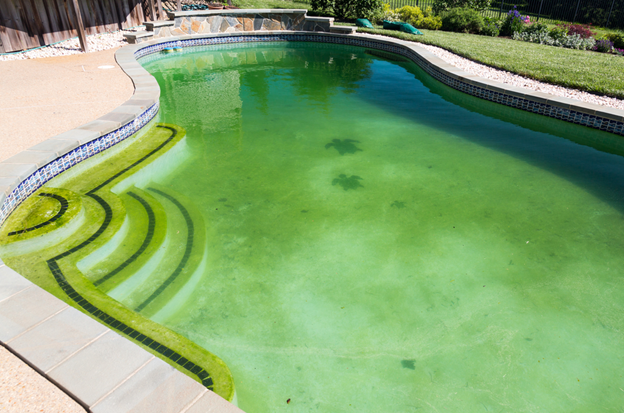 Mid-Summer Pool Maintenance Checklist | Pools Plus RI